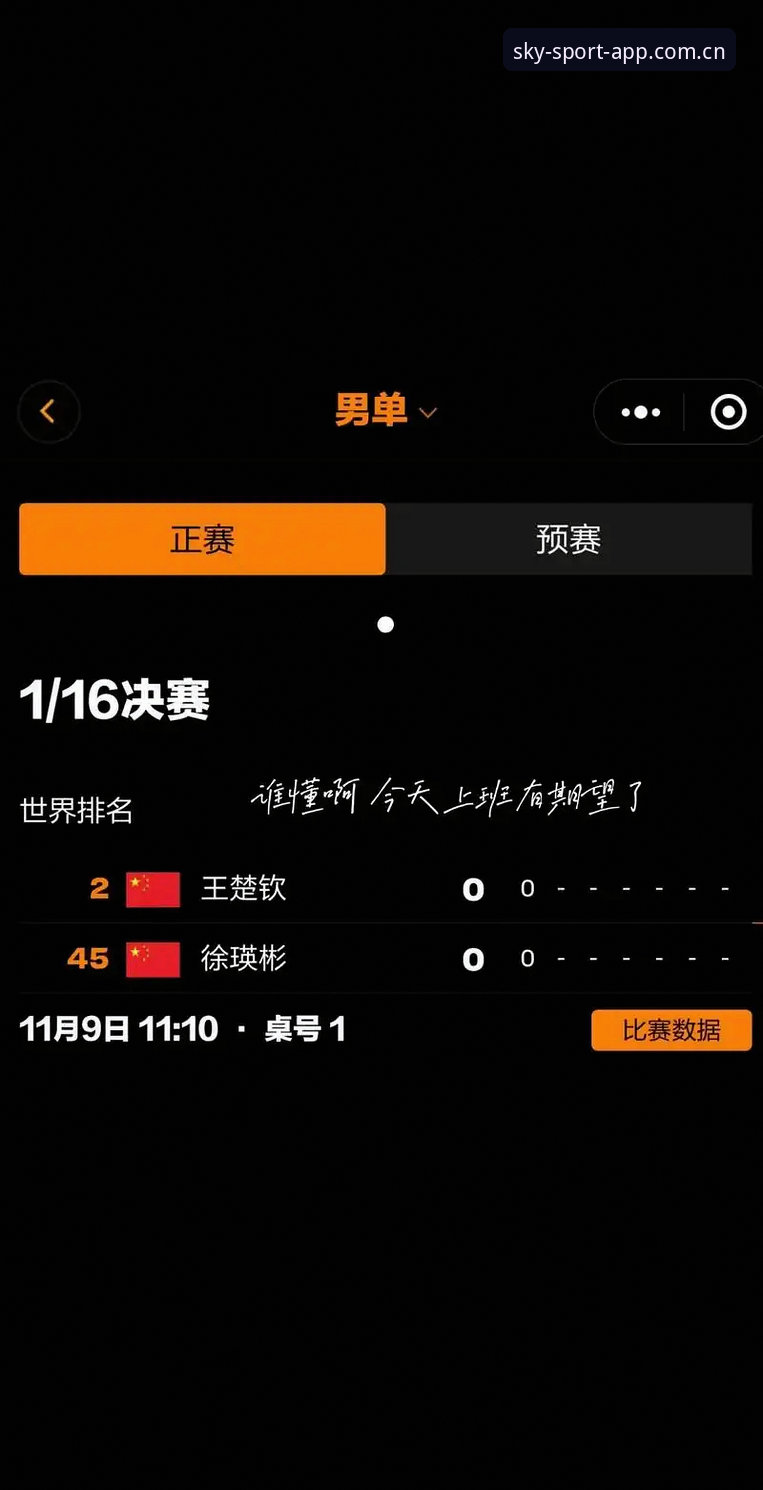 星空体育手机版教程全面解析：从下载到竞技的一站式指引